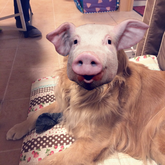 ファイル 4164-3.jpg