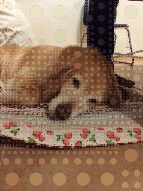 ファイル 4164-4.jpg