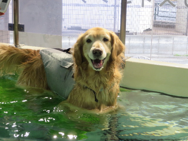 ファイル 4165-3.jpg