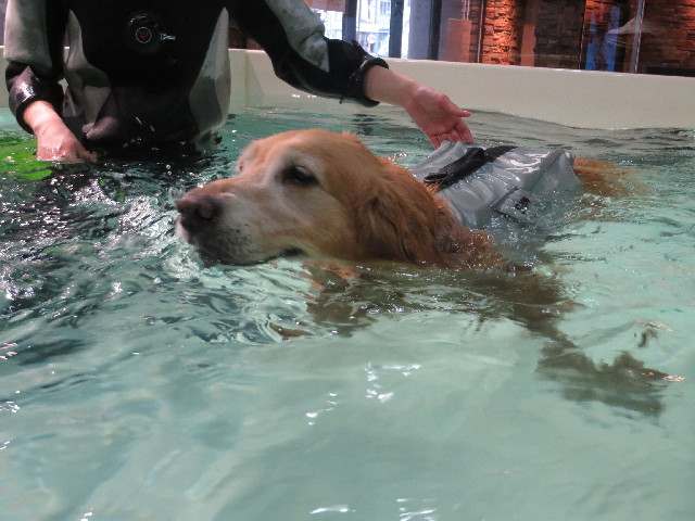 ファイル 4165-4.jpg