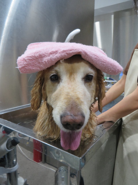 ファイル 4165-5.jpg