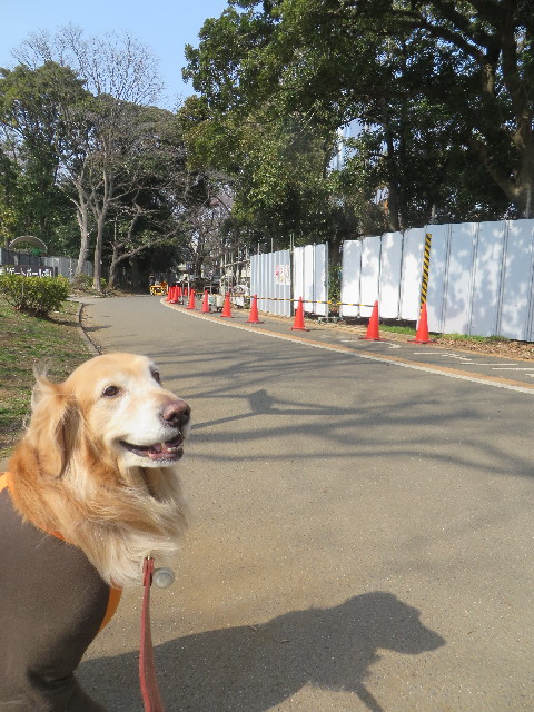 ファイル 4167-2.jpg