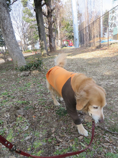 ファイル 4167-3.jpg