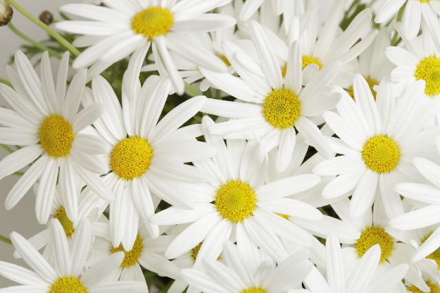 ファイル 4168-4.jpg