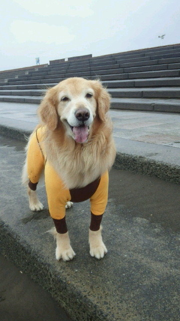 ファイル 4169-4.jpg