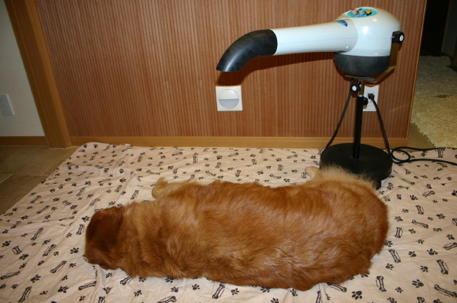 ファイル 417-4.jpg