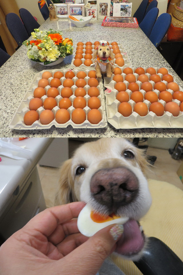 ファイル 4170-2.jpg