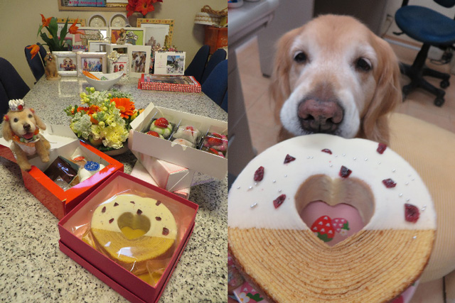 ファイル 4170-4.jpg