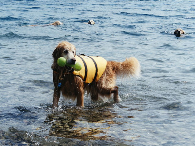 ファイル 4171-2.jpg