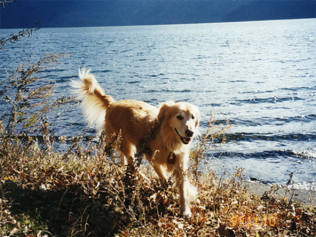 ファイル 4171-5.jpg