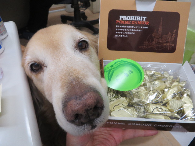 ファイル 4172-2.jpg