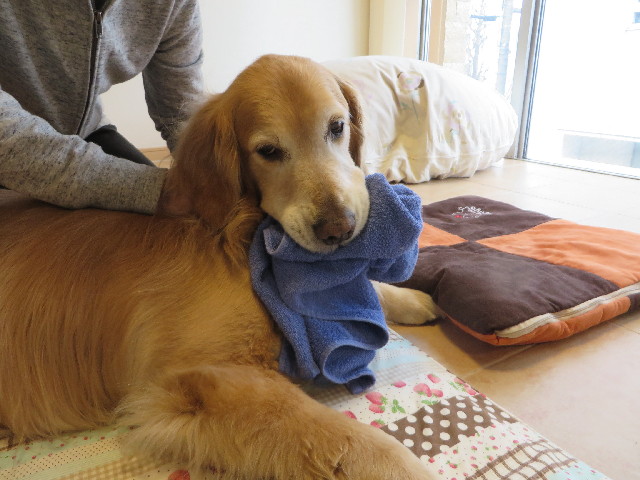 ファイル 4172-5.jpg