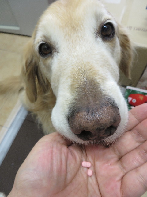 ファイル 4176-2.jpg