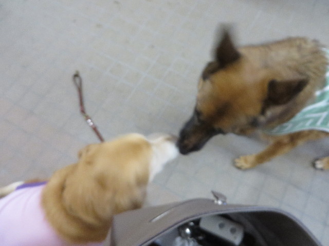 ファイル 4177-3.jpg