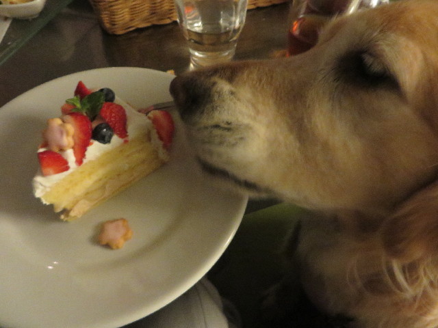 ファイル 4178-4.jpg