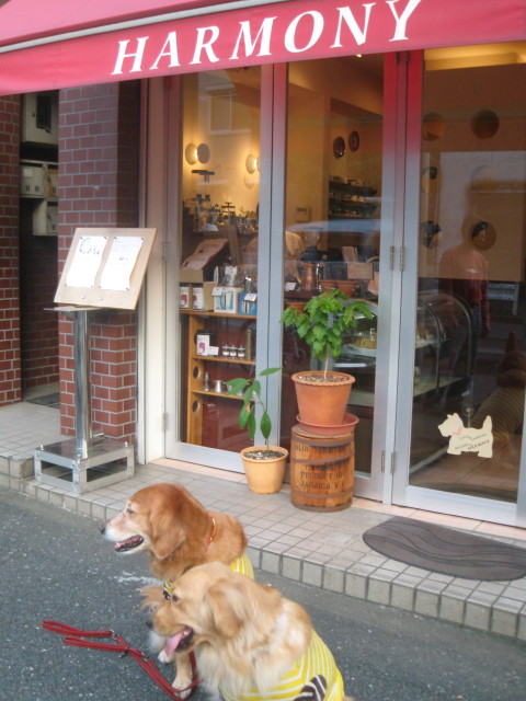 ファイル 418-1.jpg