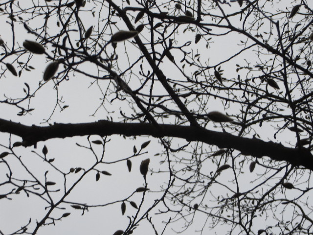 ファイル 4180-3.jpg