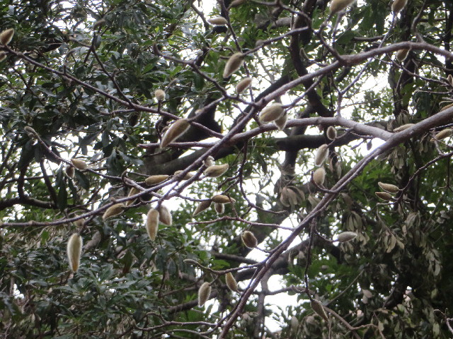 ファイル 4180-4.jpg