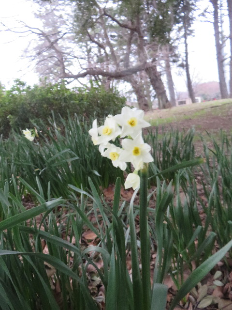 ファイル 4180-5.jpg