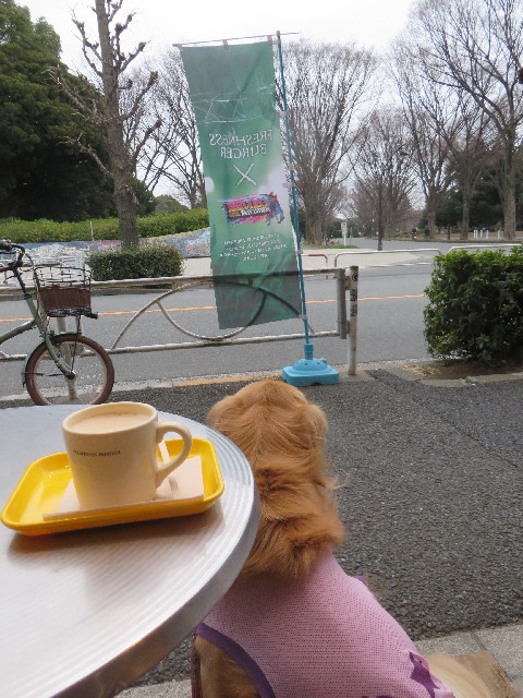 ファイル 4181-2.jpg