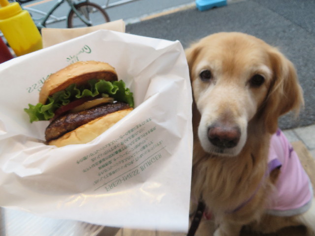 ファイル 4181-4.jpg