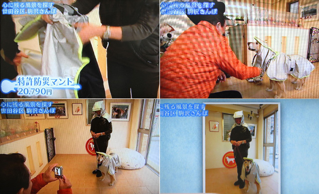 ファイル 4182-5.jpg