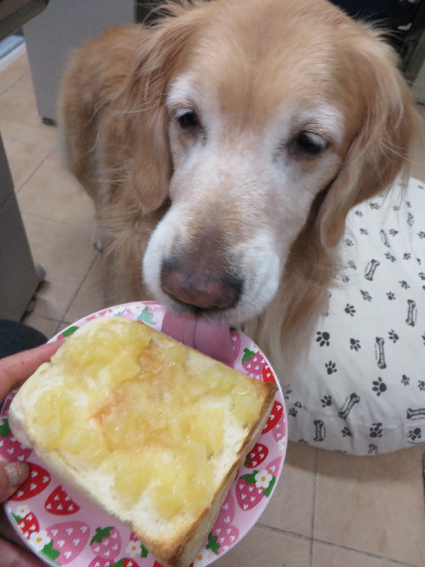 ファイル 4184-5.jpg