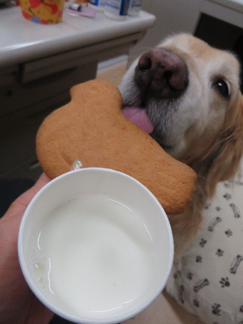 ファイル 4186-2.jpg