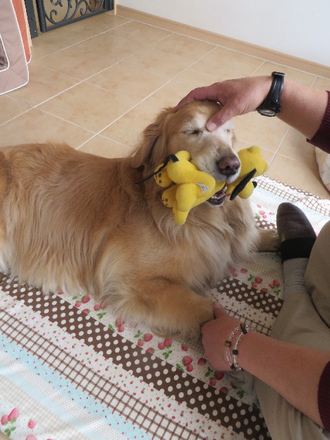 ファイル 4189-3.jpg