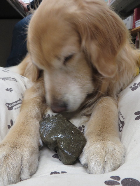 ファイル 4189-5.jpg