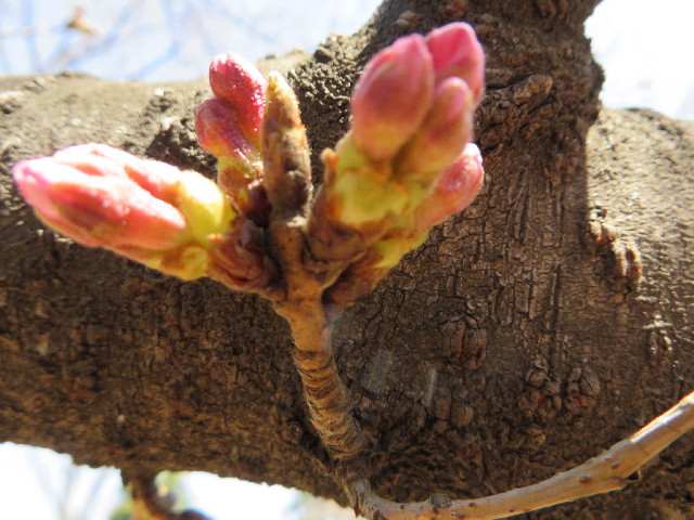 ファイル 4190-3.jpg