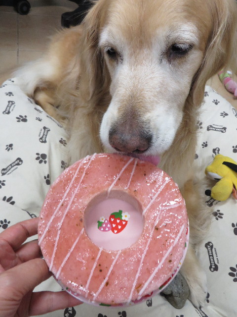 ファイル 4190-4.jpg