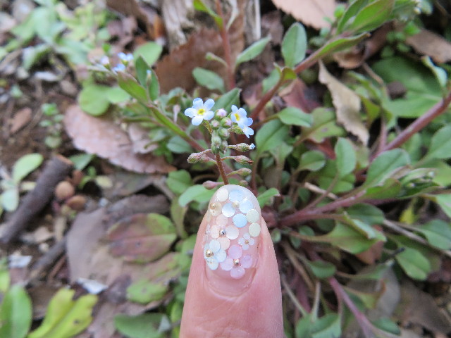 ファイル 4190-5.jpg