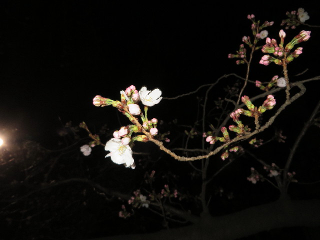 ファイル 4194-4.jpg