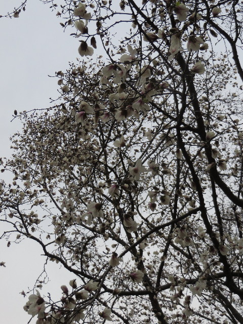 ファイル 4195-4.jpg