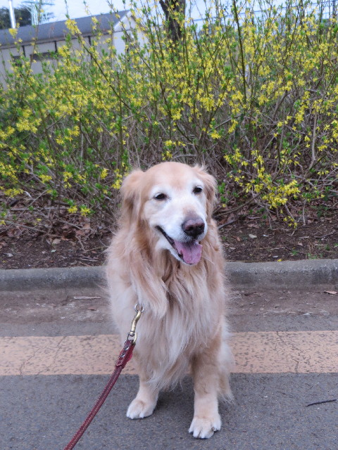 ファイル 4195-5.jpg