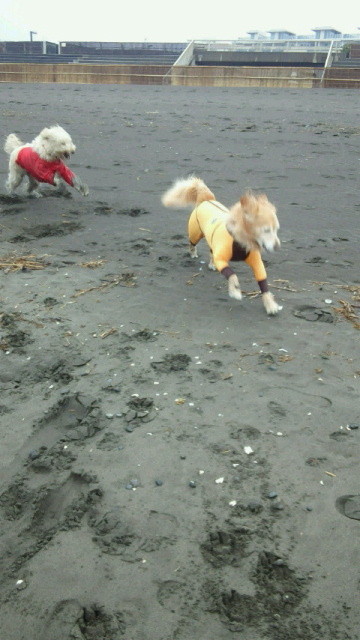 ファイル 4197-2.jpg