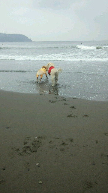 ファイル 4197-5.jpg