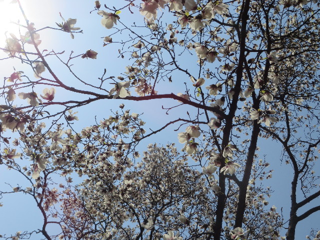 ファイル 4198-4.jpg