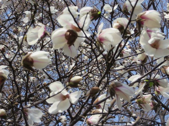 ファイル 4198-5.jpg