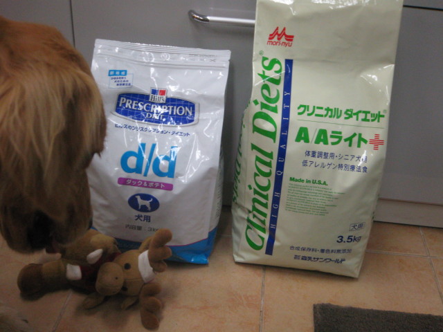 ファイル 420-2.jpg