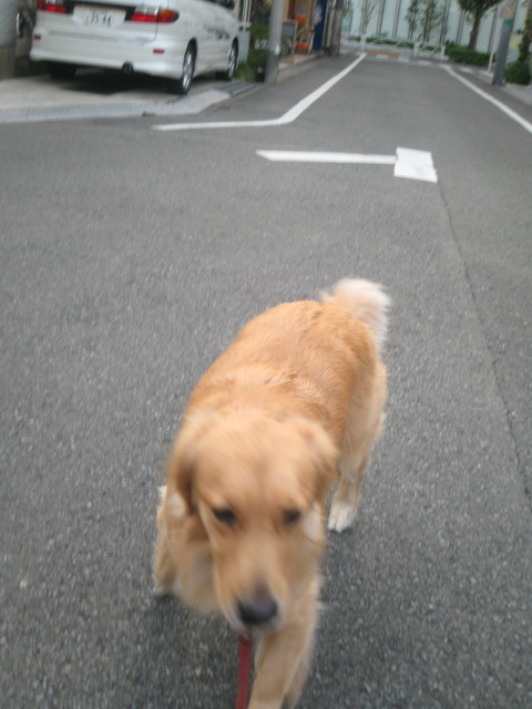 ファイル 420-3.jpg