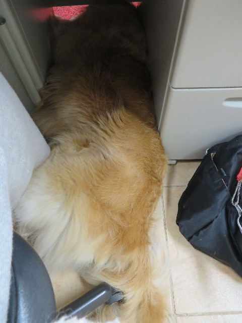 ファイル 4200-4.jpg