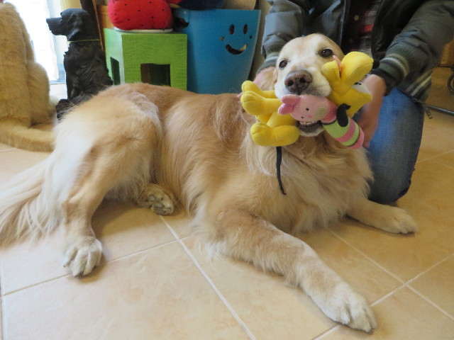 ファイル 4203-5.jpg