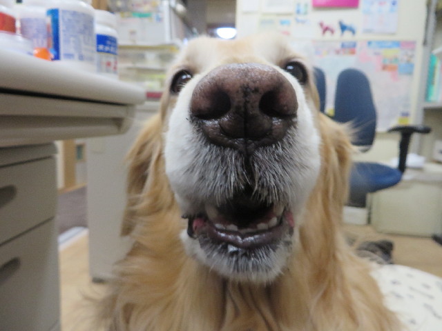 ファイル 4205-4.jpg