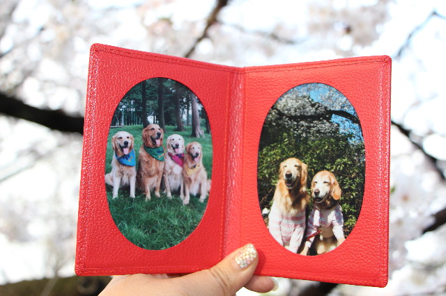 ファイル 4207-3.jpg