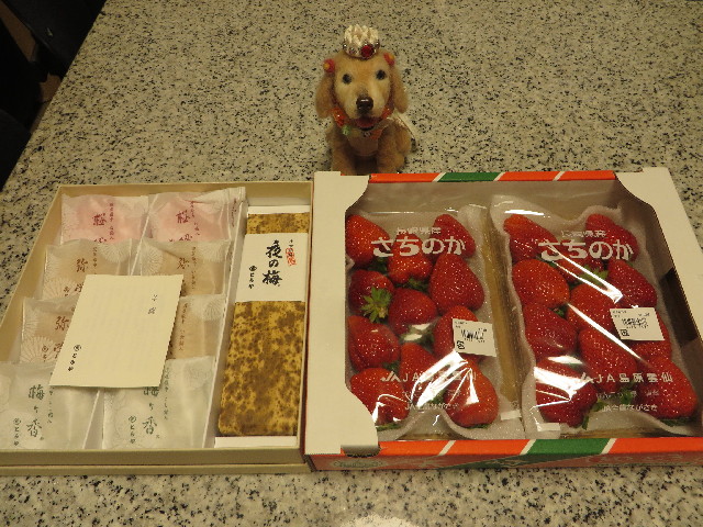 ファイル 4209-1.jpg