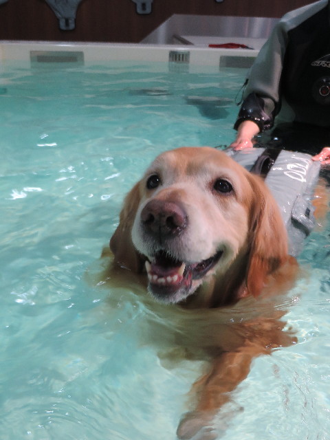 ファイル 4209-4.jpg