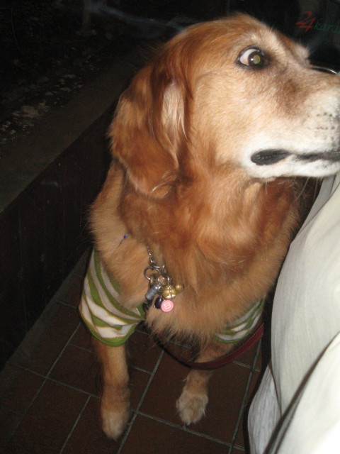 ファイル 421-3.jpg