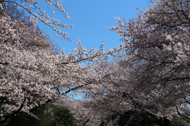 ファイル 4213-4.jpg